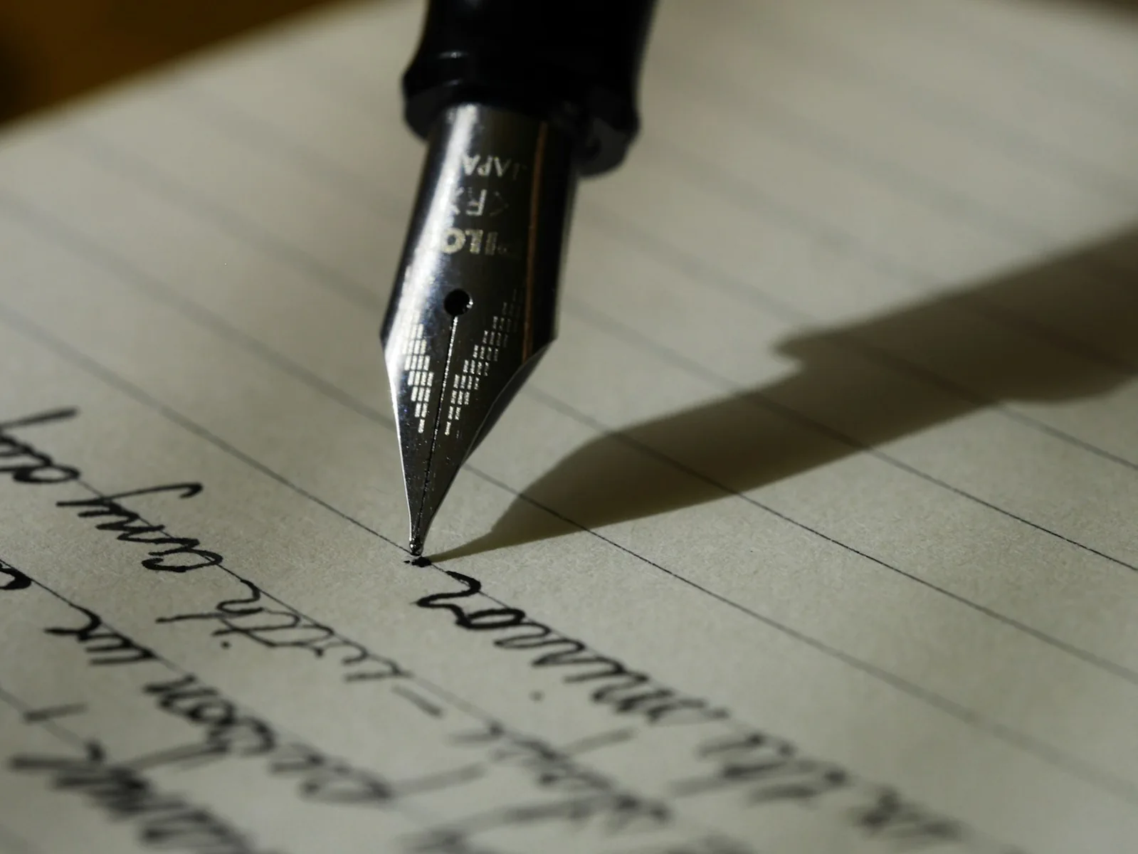 Notebook and pen for daily records